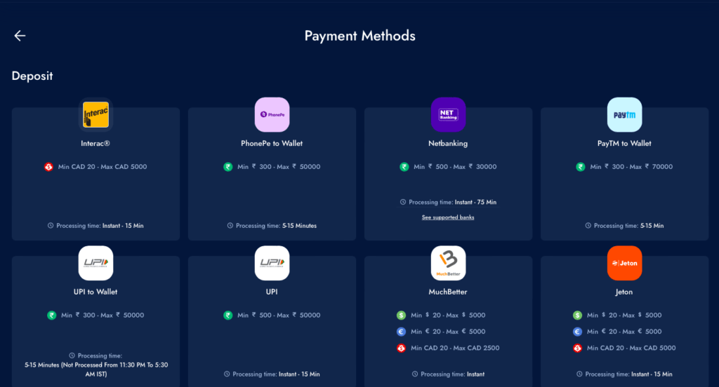 Bluechip-Casino-Payment-Methods