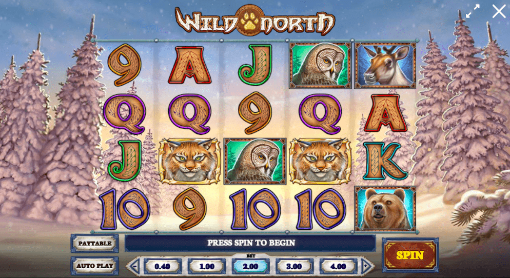 Winter-Slots-Wild-North