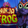 Ninja Frog