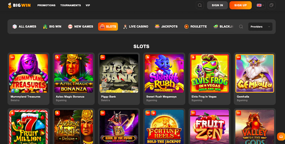 bigwig-casino-slots