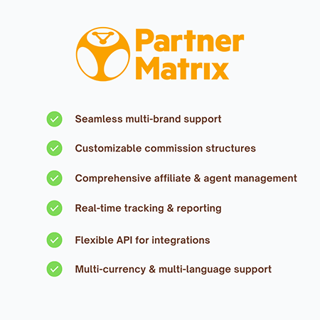 Partner Matrix B2B Focus