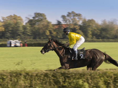 Stake Reveals Legendary Jockey Frankie Dettori as Brand Ambassador