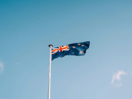 New Zealand Green Party Supports Online Casino Bill in First Reading