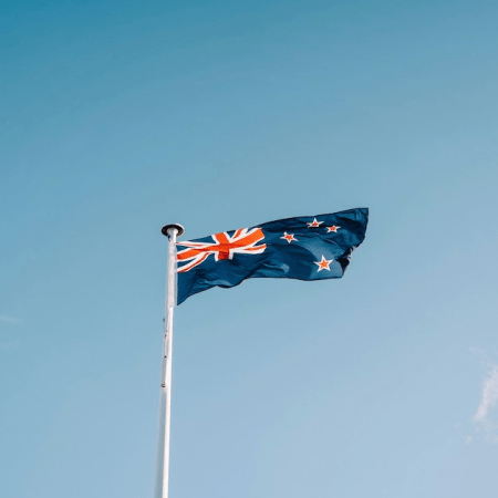 New Zealand Green Party Supports Online Casino Bill in First Reading