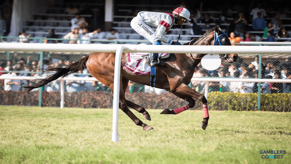 A jockey racing a horse, representing bet365's innovative Position Payout feature now available in the UK, Ireland, and Australia.