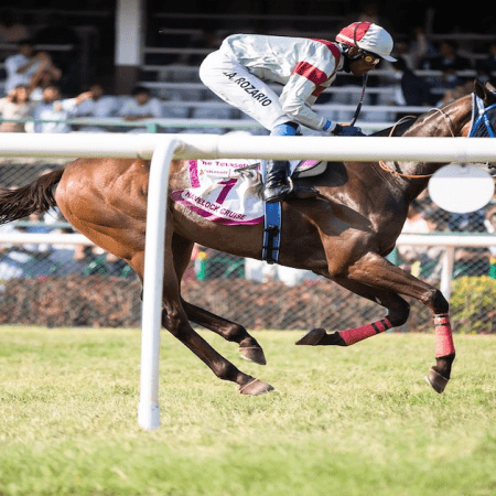 bet365 Introduces Innovative ‘Position Payout’ for Horse Racing