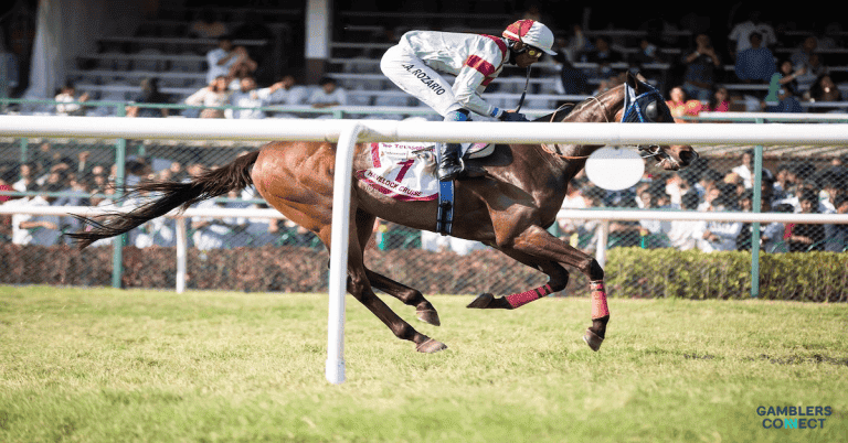 bet365 Introduces Innovative ‘Position Payout’ for Horse Racing