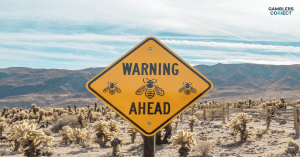 ACMA Warns Hollycorn NV and Stellar Over Illegal Gambling Services in Australia