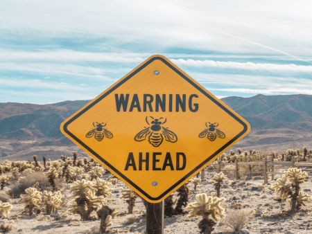 ACMA Warns Hollycorn NV and Stellar Over Illegal Gambling Services in Australia