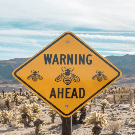 ACMA Warns Hollycorn NV and Stellar Over Illegal Gambling Services in Australia