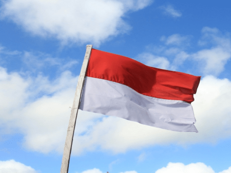 Indonesia Cracks Down on Online Gambling, Removing 2.1 Million Posts