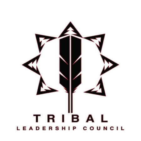 Tribal Leadership Council Receives $50,000 Grant from Yuhaaviatam of San Manuel Nation