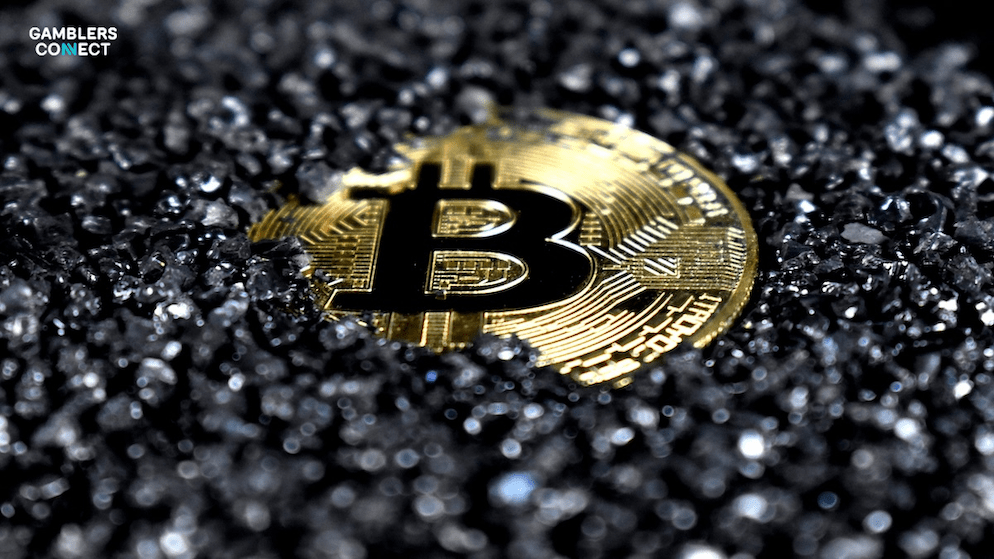 A Bitcoin coin nestled in dark material, representing Bitcoin's inherent value and its position in the crypto market, relevant to discussions on crypto30x.com bitcoin price.