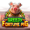 Greedy Fortune Pig
