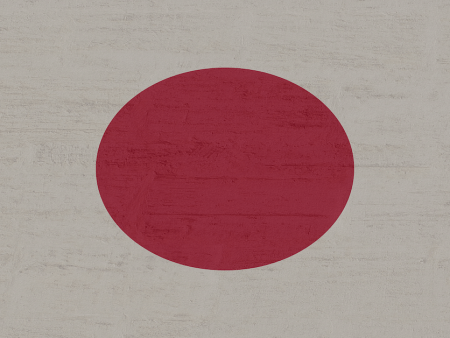 13-Year-Old Japanese Boy Referred for Extensive Online Gambling