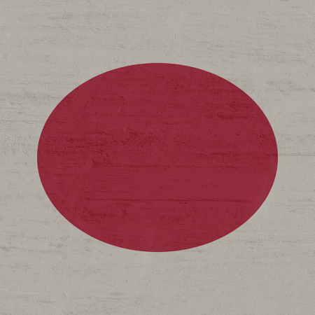 13-Year-Old Japanese Boy Referred for Extensive Online Gambling