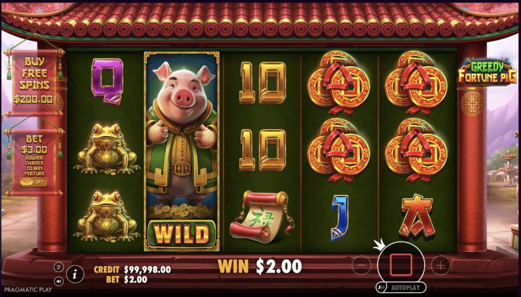 The start of the free spins bonus in Greedy Fortune Pig, showing the "Congratulations!" message and the number of free spins awarded against a vibrant Asian-themed backdrop.