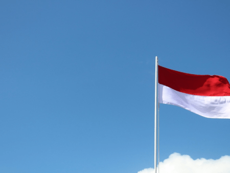 Deceptive Gambling Ads Surge on Meta Platforms, Challenging Indonesian Oversight