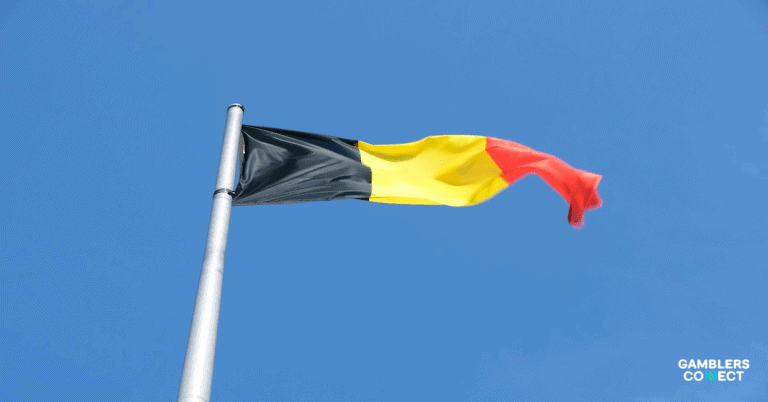 Belgian Gambling Regulator Warns Underfunding Jeopardizes Oversight of Expanding Market
