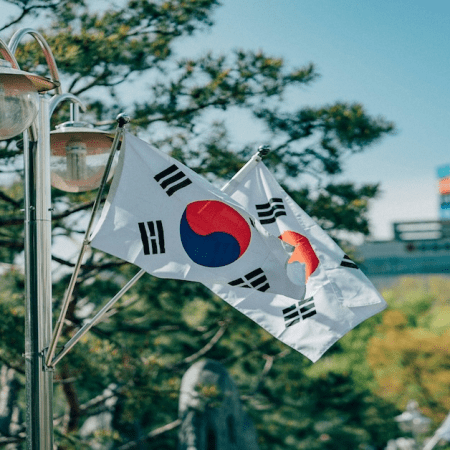 South Korean Police Bust Massive Illegal Gambling Ring Using Fake Futures Trading Platform