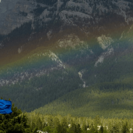 Alberta Builds Governance Structure for New iGaming Market