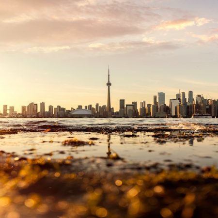 Ontario iGaming Revenue Reaches CAD $406 Million in November 2025