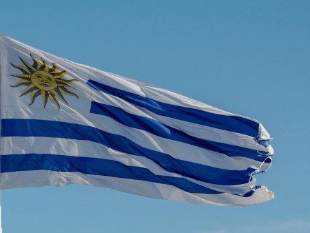 Uruguay Launches Casino Chamber to Drive Investment and Reform