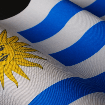 Market Overview: Uruguay’s Regulatory Framework and Legislative Forecast