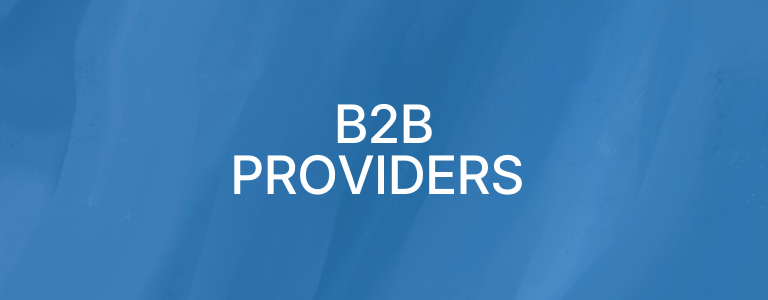 B2B Providers