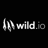 Wild.io Casino Review