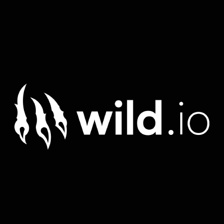 Wild.io Casino Review
