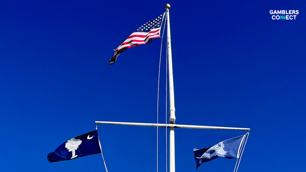 Low-angle view of the South Carolina flag, symbolizing the proposed allocation of casino proceeds to the State Conservation Bank and Veterans’ Trust Fund.