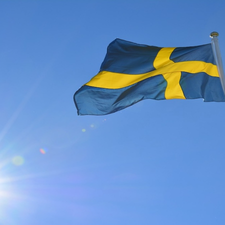 Sweden’s “Patchy” Harm Prevention System Failing 350,000 Citizens, Audit Finds