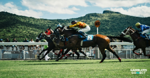 Cheltenham Festival 2026: Record Betting Activity Amid Black Market Warnings