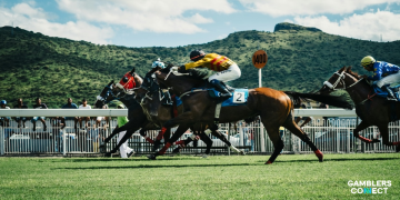 Jockeys and horses in mid-race at the Cheltenham Festival with green hills in the background.