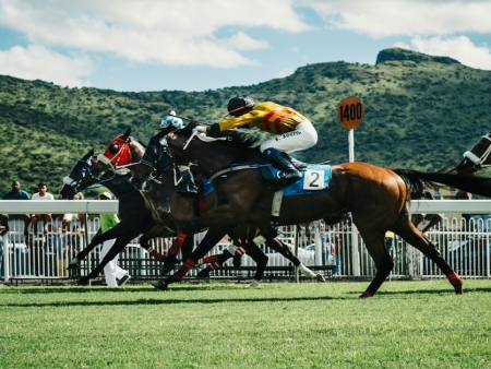 Cheltenham Festival 2026: Record Betting Activity Amid Black Market Warnings