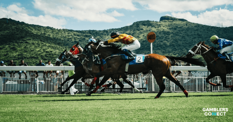 Cheltenham Festival 2026: Record Betting Activity Amid Black Market Warnings