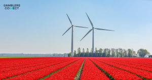 Dutch Operators Deliver “Reality Check” as Excessive Taxation Destroys Regulated Market