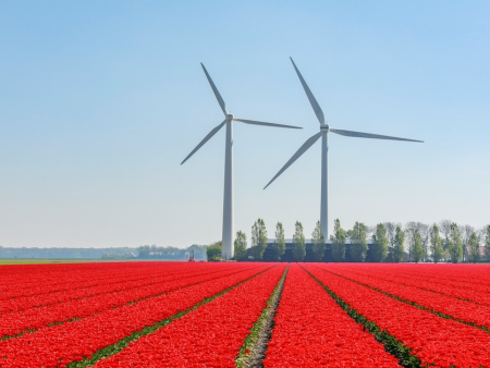 Dutch Operators Deliver “Reality Check” as Excessive Taxation Destroys Regulated Market