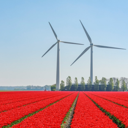 Dutch Operators Deliver “Reality Check” as Excessive Taxation Destroys Regulated Market