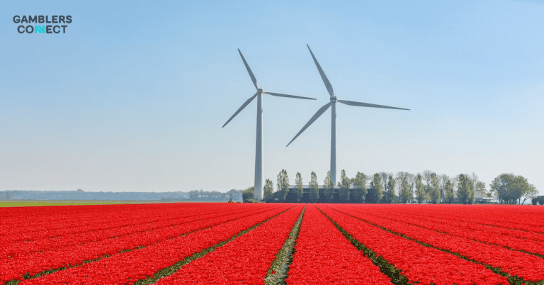 Dutch Operators Deliver “Reality Check” as Excessive Taxation Destroys Regulated Market