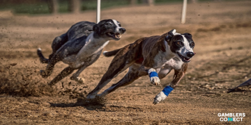 Gibraltar Gambling Commissioner Warns Overregulation Fuels £60M Black Market Surge