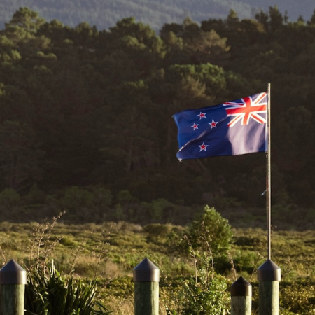 Entain Eyes 50% Market Share as New Zealand Prepares to Legalize iGaming