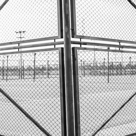 Genius Sports Shares Plummet 60% Despite Strong Financial Growth in Q1 2026