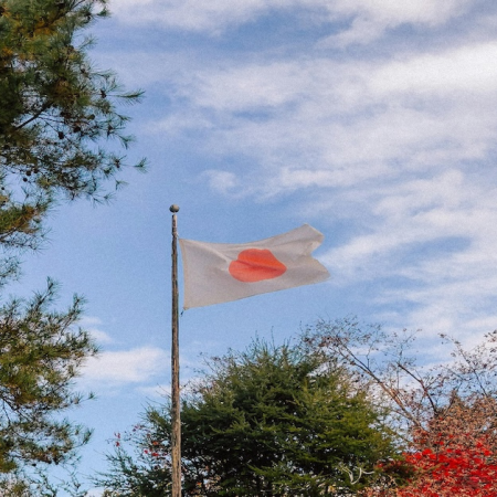 Japan Reports Record 317 Online Gambling Arrests in 2025 as Mobile Access Surge Continues