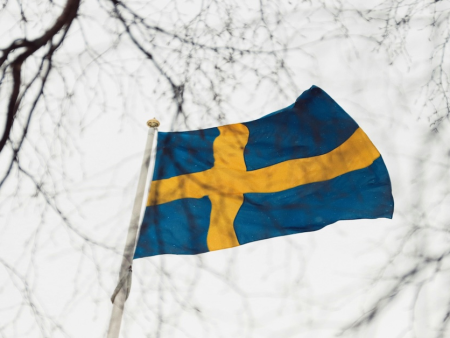 Swedish Regulator Spelinspektionen Launches Duty of Care Review Targeting High Deposit Limits