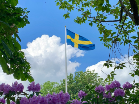 Sweden Tightens Spelpaus Technical Standards; Self-Exclusion Verifications to be Mandatory via API