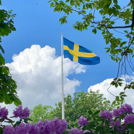 Sweden Tightens Spelpaus Technical Standards; Self-Exclusion Verifications to be Mandatory via API