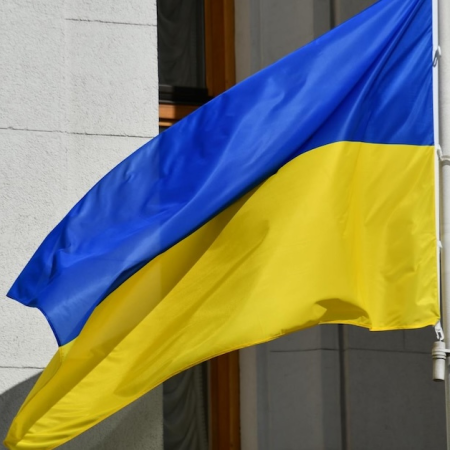 Ukraine Launches Test Phase for State Online Monitoring System (DSOM)