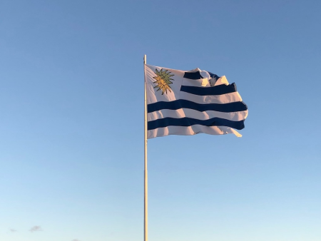 Uruguayan Authorities Issue High-Priority Warning Against Illegal Sites Ahead of World Cup